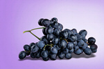 Сlipart grape background berry branch bunch   BillionPhotos