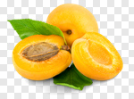 Сlipart Apricot Fruit Leaf Food Isolated photo cut out BillionPhotos