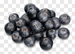 Сlipart Blueberry Food Blue Isolated Berry Fruit photo cut out BillionPhotos