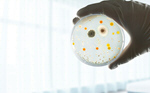 Сlipart culture medium micro analyzing antibiotic disk   BillionPhotos