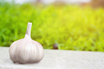 Сlipart background bulb food fresh garlic   BillionPhotos