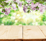 Сlipart wood background light wooden sky   BillionPhotos