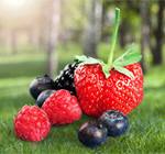 Сlipart Raspberry Strawberry Berry Fruit Blueberry Fruit   BillionPhotos