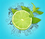 Сlipart lime lemon fruit segment mint   BillionPhotos