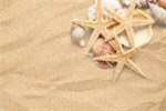 Сlipart Starfish Shell Sea Life Sand White   BillionPhotos
