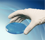 Сlipart Laboratory Petri Dish Research DNA Bacterium   BillionPhotos