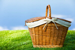 Сlipart Picnic Basket Picnic Basket Grass Flower   BillionPhotos
