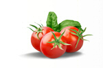 Сlipart tomato food fresh green ingredient   BillionPhotos