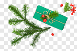 Сlipart christmas present table gift branch photo cut out BillionPhotos