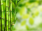 Сlipart Bamboo Tropical Rainforest Backgrounds Green Leaf   BillionPhotos