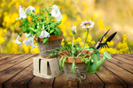 Сlipart gardening garden spring bright gift   BillionPhotos