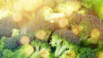 Сlipart broccoli background food fresh vegetable   BillionPhotos