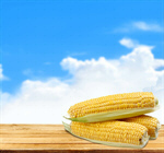 Сlipart corn cob grain wet ripe   BillionPhotos
