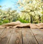 Сlipart garden shelf wooden sill farm   BillionPhotos