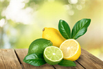 Сlipart Lemon Lime Green Backgrounds White   BillionPhotos