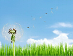 Сlipart Dandelion Air Environment Clean Nature   BillionPhotos
