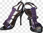 Сlipart High Heels Dress Shoe Shoe Stiletto Isolated photo cut out BillionPhotos