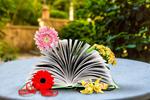 Сlipart book sales cozy cozy atmosphere cozy home education   BillionPhotos