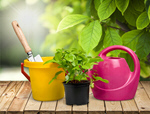 Сlipart Gardening Gardening Equipment Flower Pot Plant Potted Plant   BillionPhotos