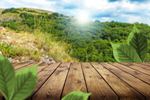 Сlipart table background nature wood field   BillionPhotos