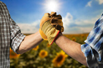 Сlipart hands shaking farmer business farm   BillionPhotos