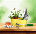 Сlipart wood wooden deck background outdoor   BillionPhotos