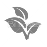 Сlipart Leaf Nature Plant vector icon cut out BillionPhotos
