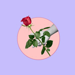 Сlipart collage flower background abstract banner   BillionPhotos