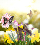 Сlipart spring april meadow nature background   BillionPhotos