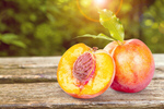 Сlipart agriculture apricots background branch crop   BillionPhotos