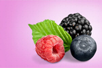 Сlipart berry blackberry raspberry white background   BillionPhotos