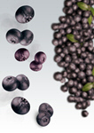Сlipart acai air background berries berry   BillionPhotos