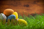 Сlipart easter funny bunny green spring   BillionPhotos