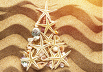 Сlipart Christmass tree from shells tree travel beach summer   BillionPhotos