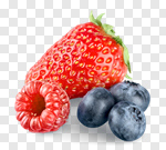 Сlipart fruit forest snack white background photo cut out BillionPhotos