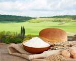 Сlipart wheat mill flour bread bake   BillionPhotos