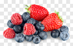 Сlipart Berry Fruit Fruit Isolated Strawberry Blueberry photo cut out BillionPhotos