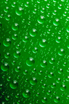 Сlipart Water Drop Green Backgrounds Bubble photo  BillionPhotos