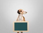 Сlipart dog advertise animal background banner   BillionPhotos