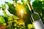 Сlipart Bottle Wine White Wine Bottle Label   BillionPhotos