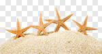 Сlipart starfish ocean beach 2014 tourism photo cut out BillionPhotos