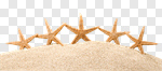 Сlipart starfish ocean beach 2014 tourism photo cut out BillionPhotos
