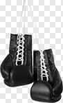 Сlipart Boxing Glove Sports Glove Hanging Isolated Sport photo cut out BillionPhotos