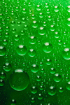Сlipart Water Drop Green Backgrounds Bubble photo  BillionPhotos