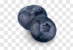 Сlipart berry bilberry black blackberry blue photo cut out BillionPhotos