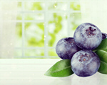 Сlipart blueberry background white berry blue   BillionPhotos