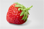 Сlipart Strawberry Red Photography Color Image Horizontal   BillionPhotos