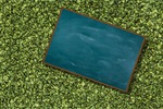 Сlipart blackboard celebration cheerful child childhood   BillionPhotos