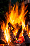 Сlipart Fire Campfire Wood Camping Bonfire photo  BillionPhotos