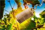 Сlipart Cork Corkscrew Wine Bottle Isolated   BillionPhotos